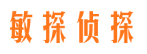 原阳敏探私家侦探公司